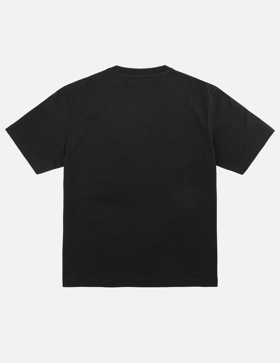Tiger EVISU T-Shirt