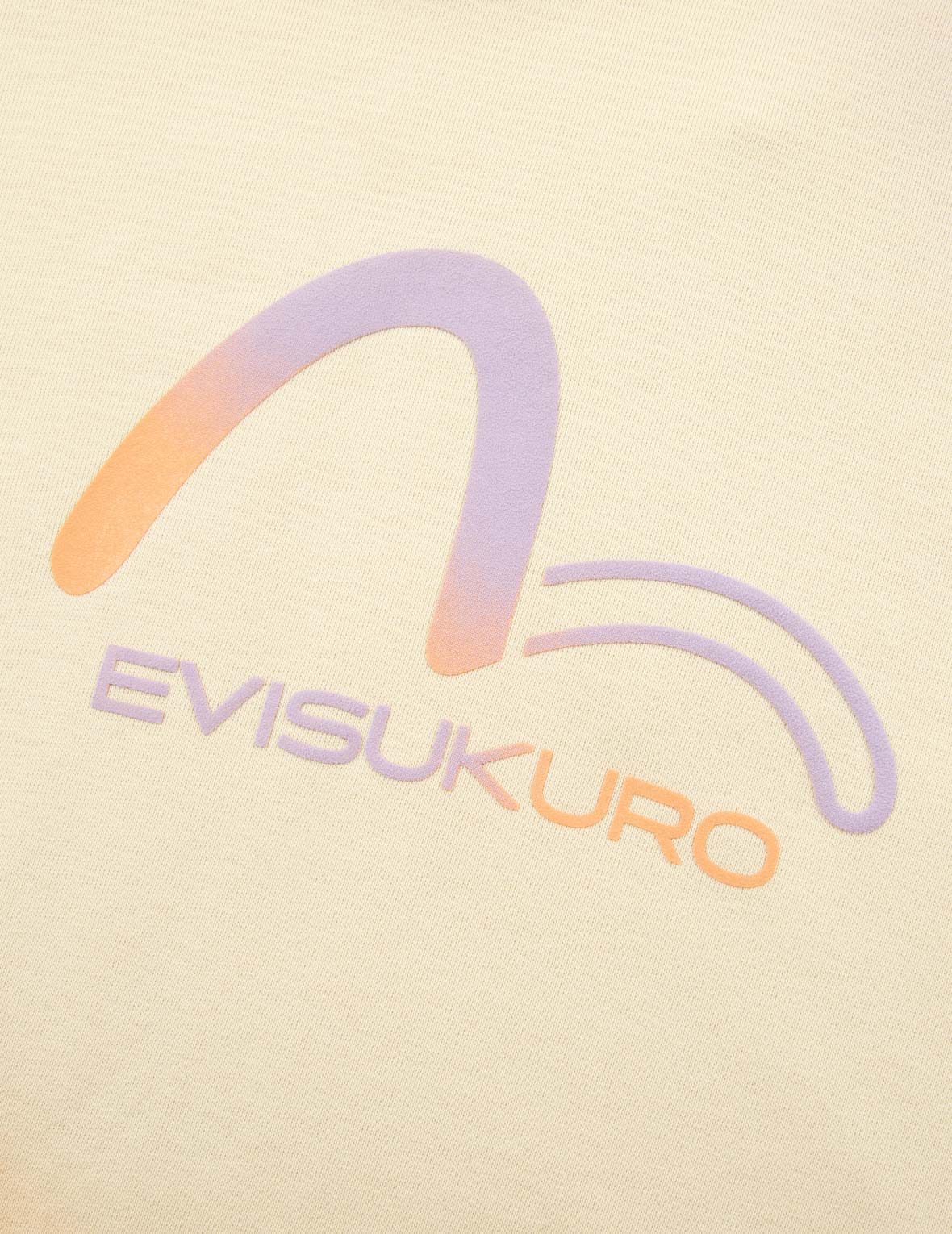 Gradient Flocking Printed Seagull Oversized Hoodie