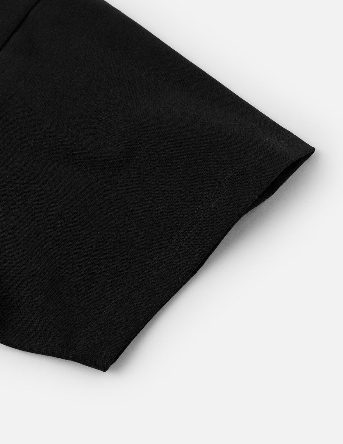 Lion Dance and Mountain Embroidery Relax Fit T-Shirt