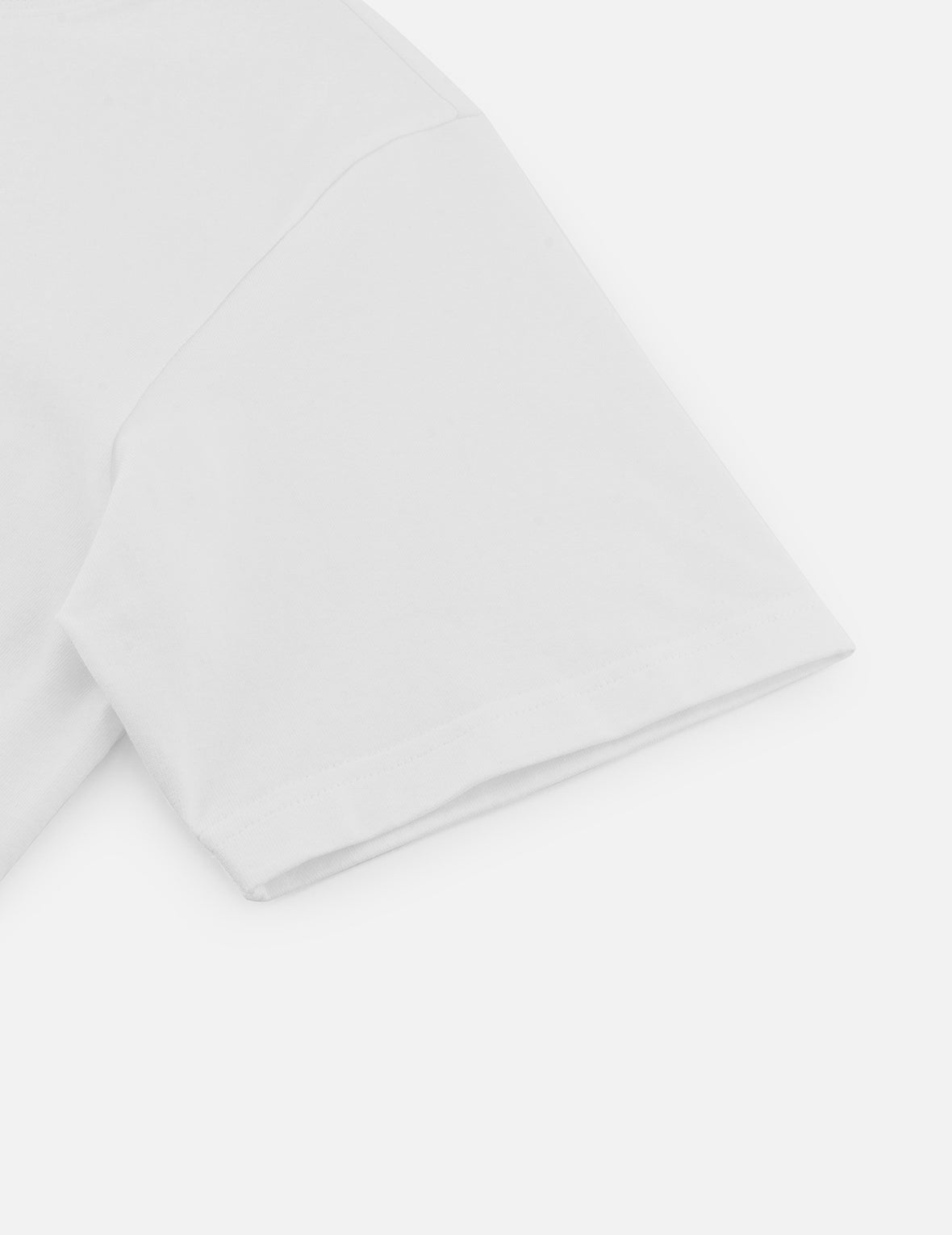 Totem Seagull and Logo Print Regular Fit T-shirt