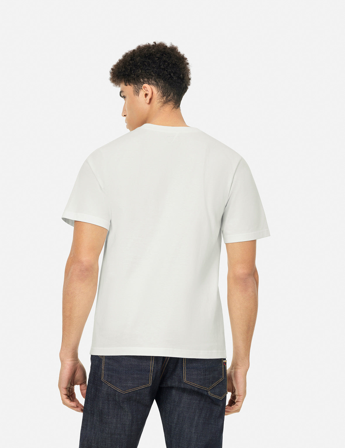 Seagull and Brand Logo Print Regular Fit T-shirt
