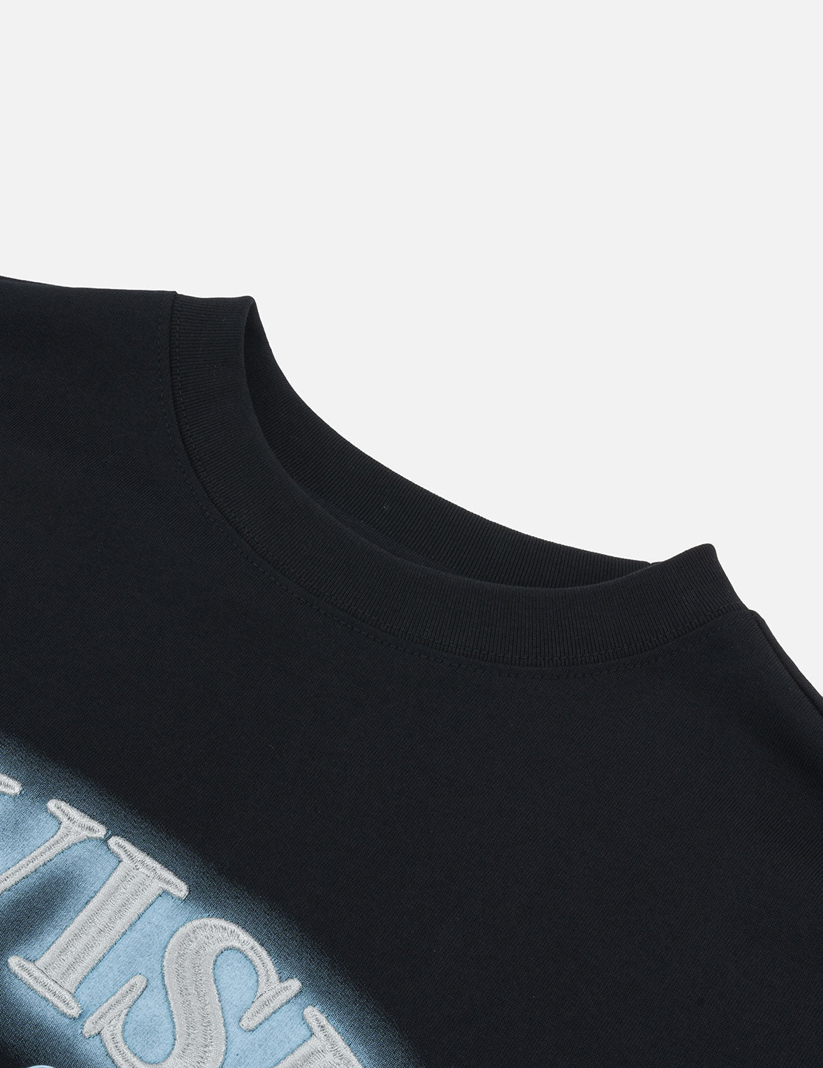 Logo Embroidery and Hummingbird Print Regular Fit T-shirt