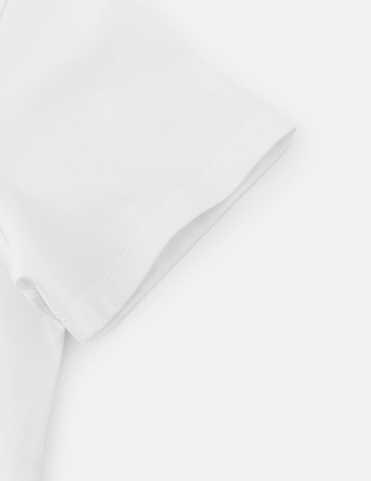 Hummingbird and Magnolia Print Regular Fit T-shirt