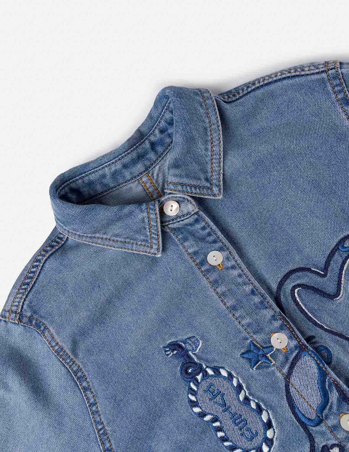Cat Embroidery Denim Dress
