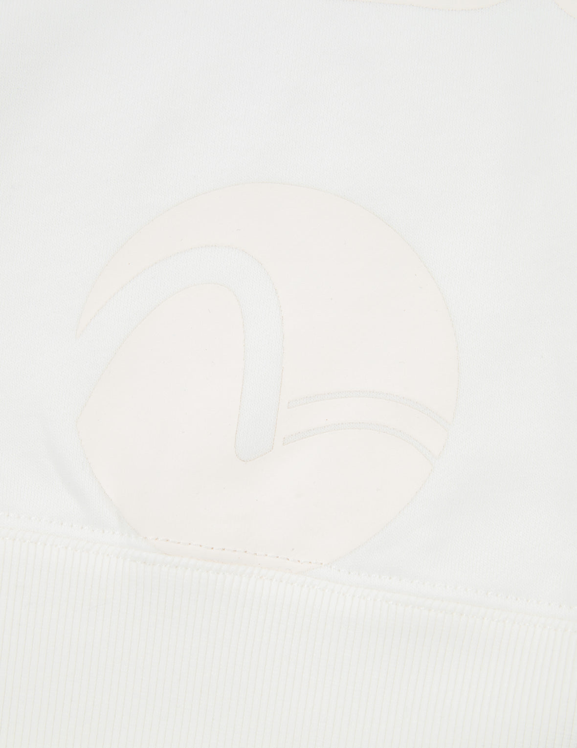 Transparent Seagull Badge Logo Print Sweatshirt