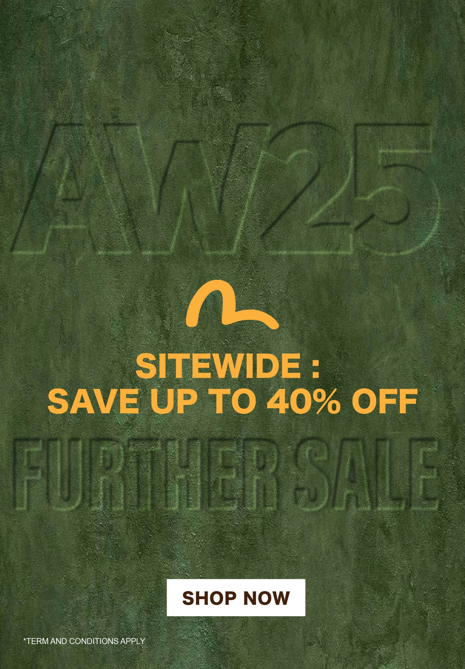 Mobile slideshow image