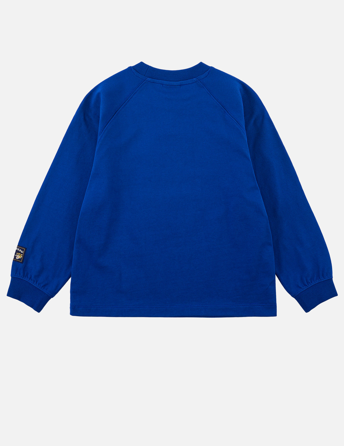 Tiger Skateboard Long-Sleeve T-Shirt