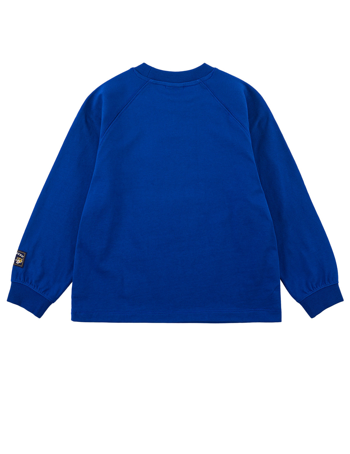 Tiger Skateboard Long-Sleeve T-Shirt