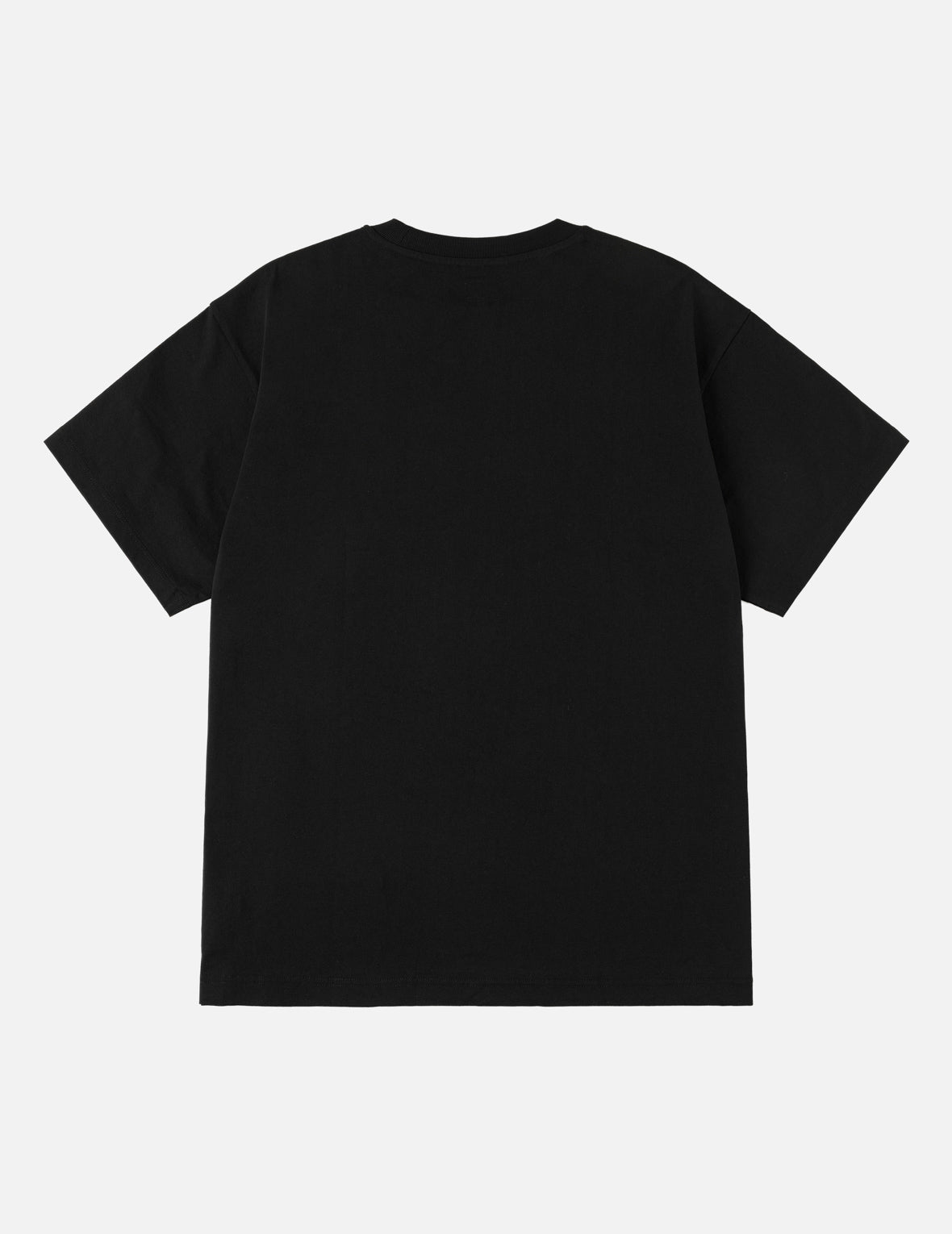 Western Landscape Seagull Embroidery T-shirt