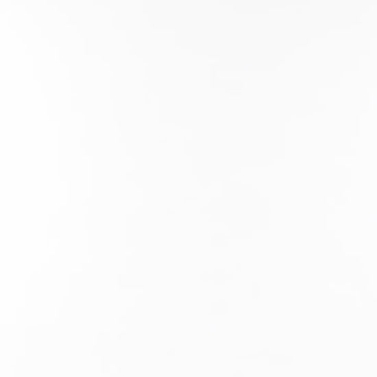 2EAHTM4TS1100LFCT-BEGX