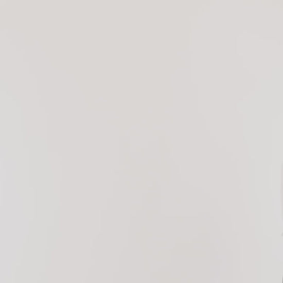 2EAGNW2NJ726LFPL-WHTX