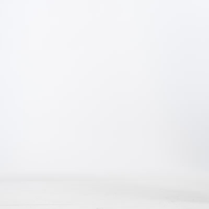 2EAGNW2SK256XXWX-DKCH